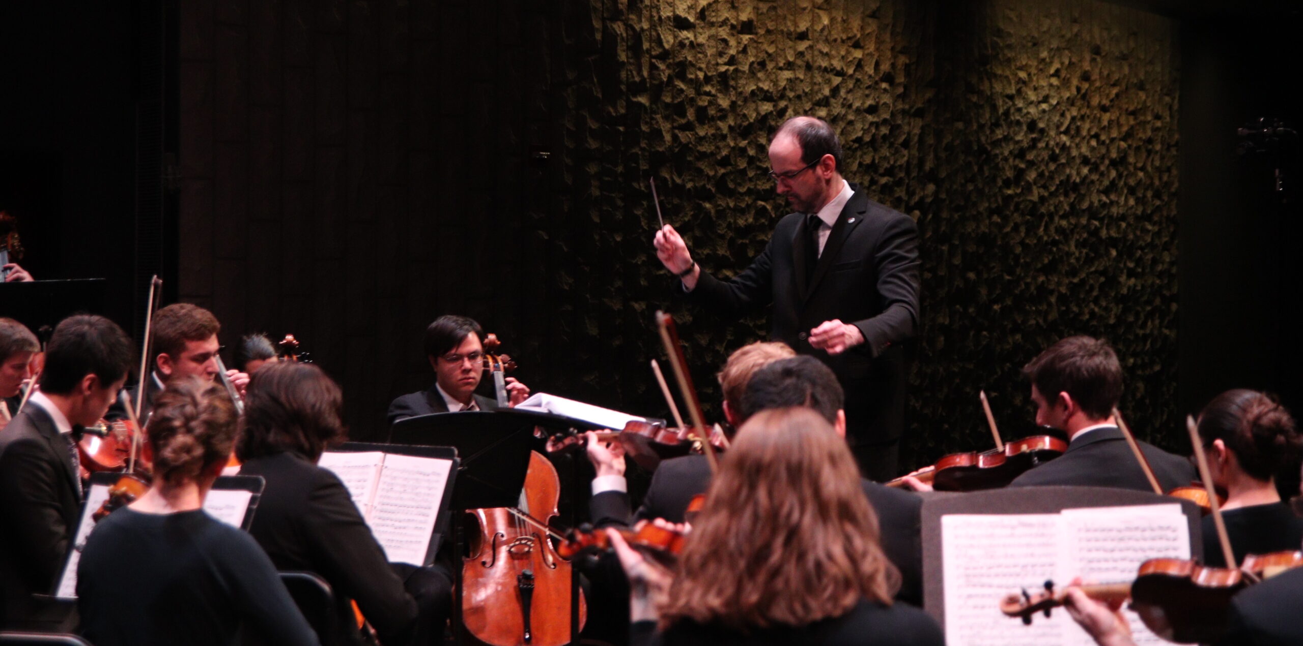 Image of Edgewood Chamber Orchestra